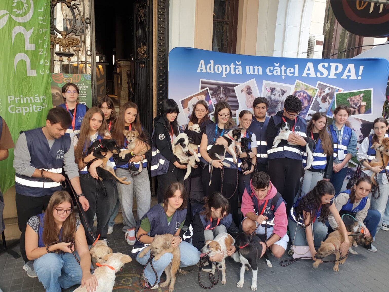 aspa 8 catei adoptati sambata la targul organizat la tucano coffee romania dorobanti 68cf9c0575ae6