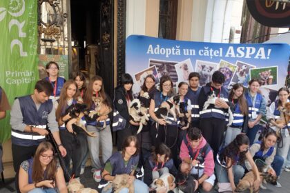 aspa 8 catei adoptati sambata la targul organizat la tucano coffee romania dorobanti 68cf9c0575ae6
