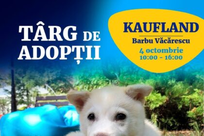 aspa marcheaza ziua internationala a animalelor cu un targ de adoptii la kaufland barbu vacarescu 68d2a3c2f24b7