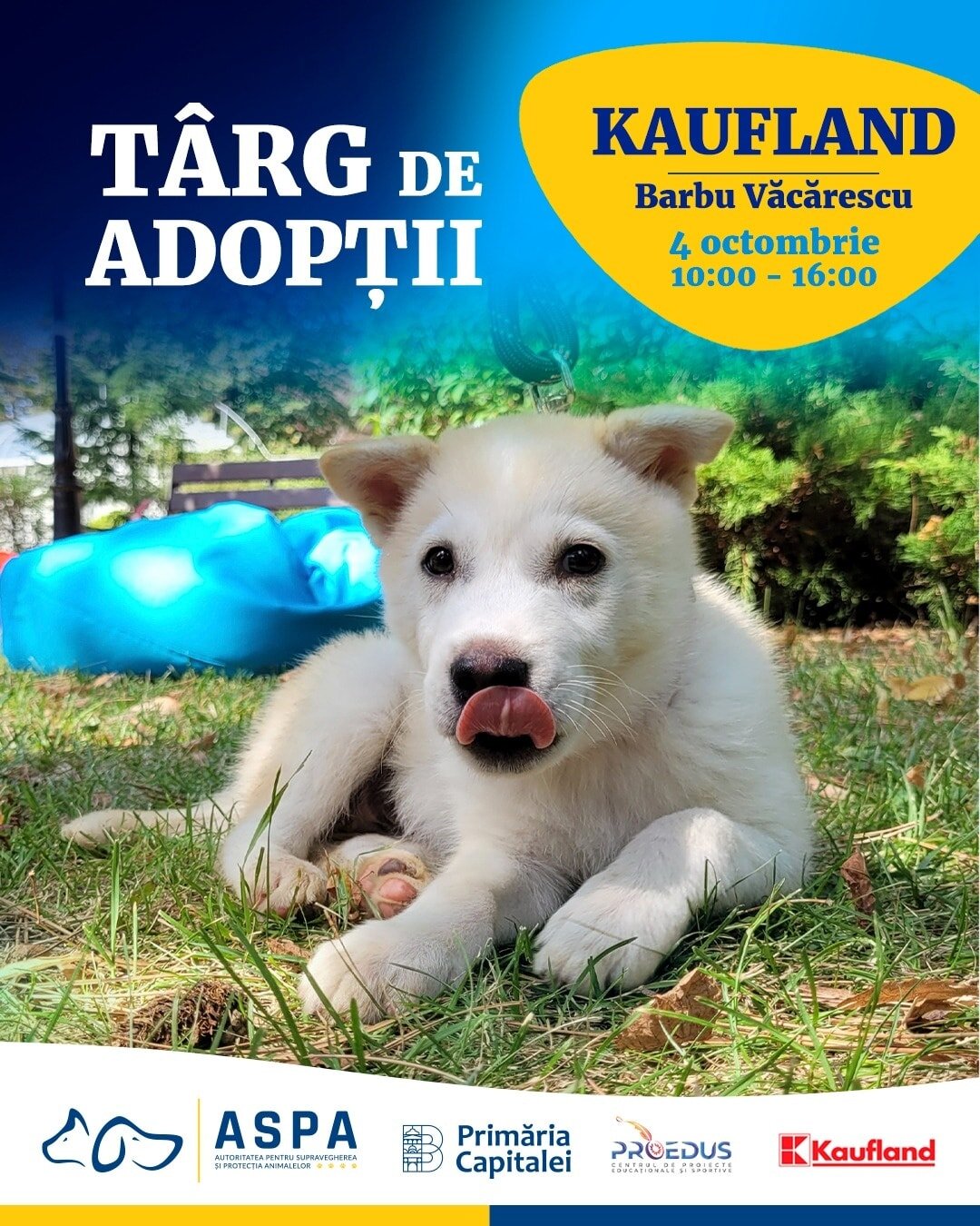 aspa marcheaza ziua internationala a animalelor cu un targ de adoptii la kaufland barbu vacarescu 68d2a3c2f24b7