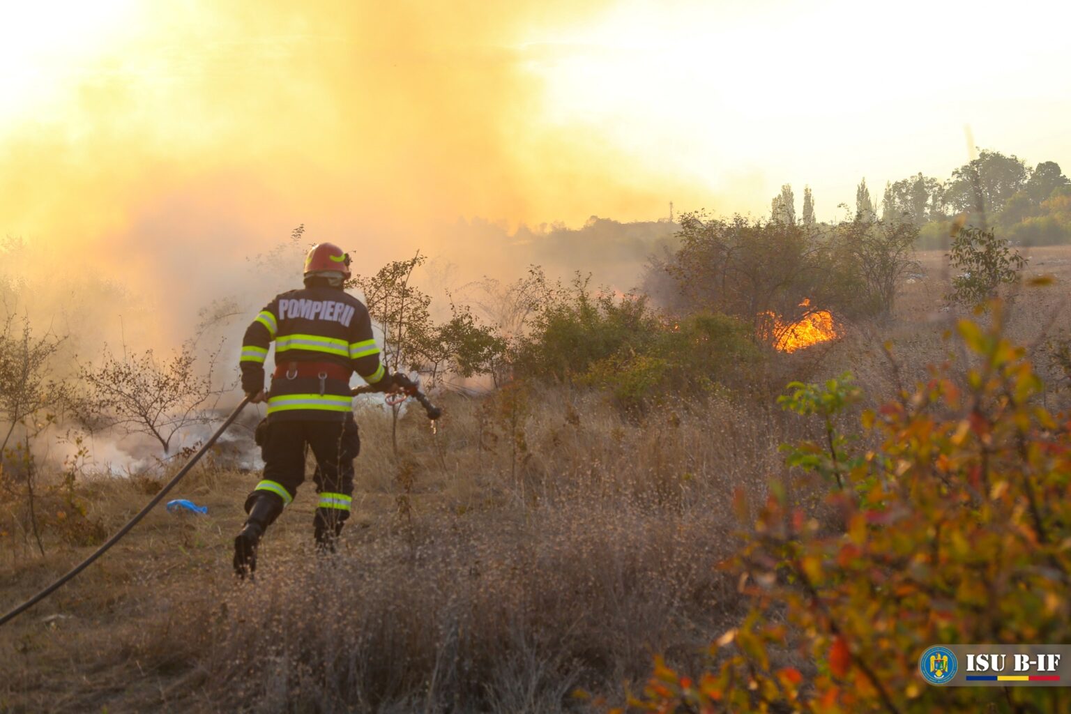 barbat de 63 de ani arestat dupa ce a incendiat un teren la marginea bucurestiului 68c8ef6de7156