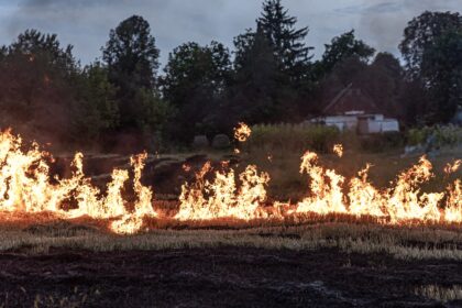 barbat retinut dupa ce a provocat un incendiu de vegetatie pe un teren de langa capitala au fost afectate 25 de hectare si o masina a fost distrusa 68c81e5a8906f