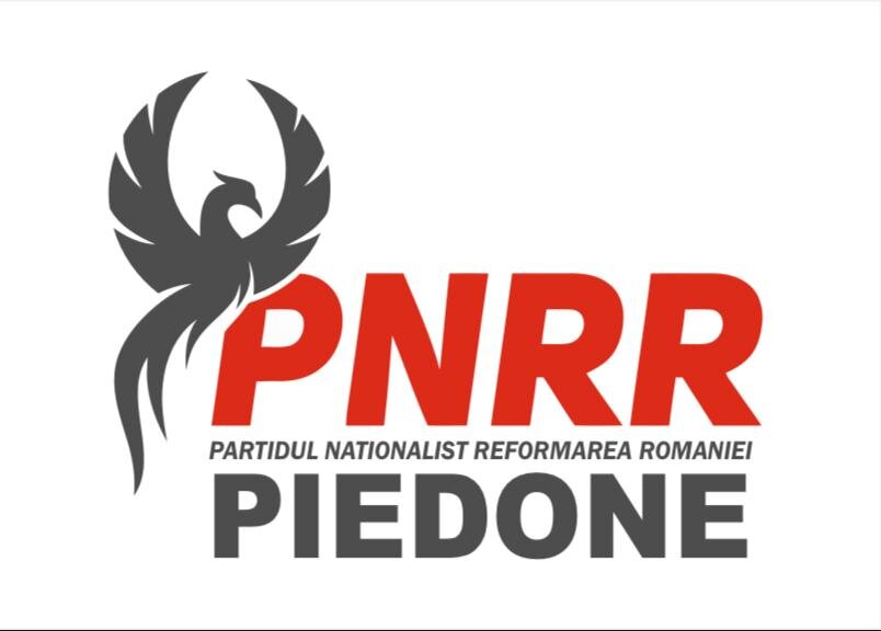 cristian popescu piedone anunta numele partidului sau partidul nationalist reformarea romaniei 68c1bfa0ce073