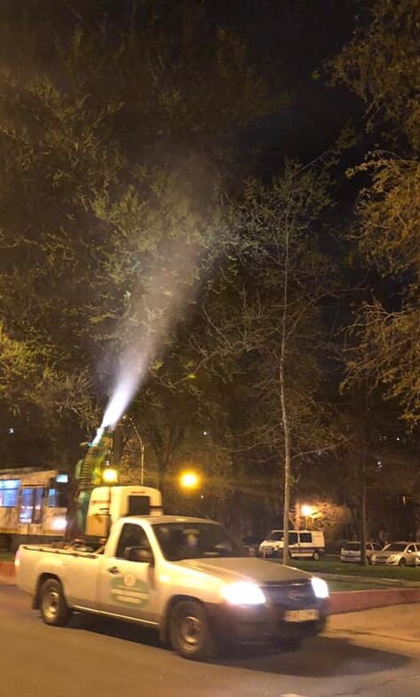 dezinsectie timp de o luna impotriva insectelor daunatoare in bucuresti 68c3a96de835f