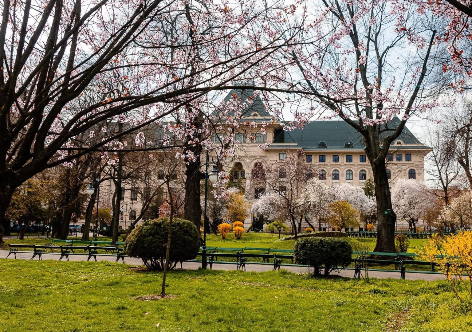 dl bolojan raspunde in sfarsit la intrebarea care e data alegerilor la primaria capitalei scrutinul va fi suprizaf09f9889 in toamna as 68dbc5662665a