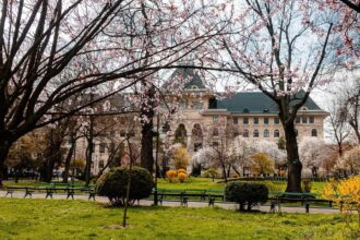 dl bolojan raspunde in sfarsit la intrebarea care e data alegerilor la primaria capitalei scrutinul va fi suprizaf09f9889 in toamna as 68dbc5662665a