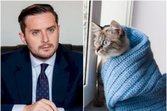 dl bujduveanu ar vrea sa ne dea termo vesti bune cand se inchid santierele termoenergetica si care va fi pretul gigacaloriei in aceasta iarna 68dba7d816e34