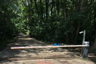 fechet rechinii imobiliari inoata nestingherti prin padurea baneasa un drum forestier risca sa devina autostrada pentru greenfield 68b831637bbbc