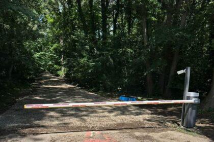 fechet rechinii imobiliari inoata nestingherti prin padurea baneasa un drum forestier risca sa devina autostrada pentru greenfield 68b831637bbbc