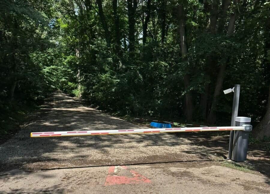 fechet rechinii imobiliari inoata nestingherti prin padurea baneasa un drum forestier risca sa devina autostrada pentru greenfield 68b831637bbbc