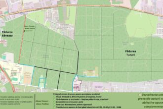 federatia greenfield baneasa intervale orare de acces pe drumul consolight padina pentru a proteja padurea si siguranta locuitorilor 68c4686a849ae