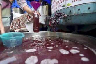 festivalul mustului si pastramei din bucuresti e toamna asta in parcul izvor patru zile cu mancare delicioasa si voie buna in perioada 11 14 septembrie 68b95cb2934ed 2