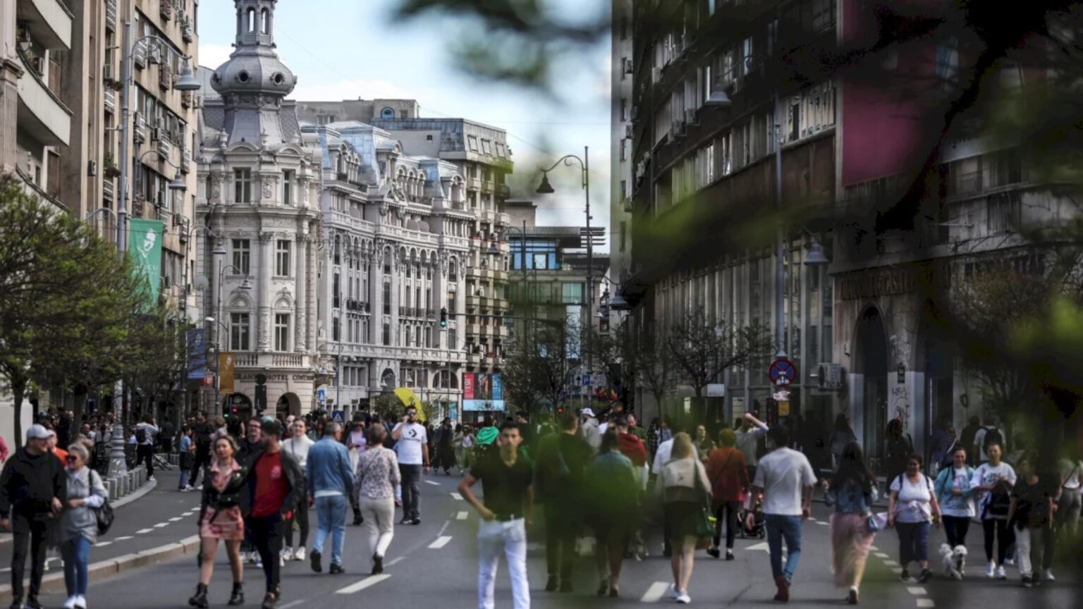 festivalul mustului unforgettable comic con lautaresele la gradina botanicaf09f9283 avem in fata un weekend plin de evenimente in bucuresti 68c21fbccf996