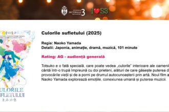 filme noi la cinema in aer liber pe marele ecran instalat pe insula artelor din parcul titan 68b6cc7717765 1