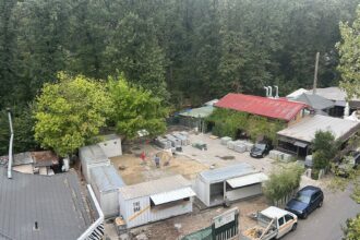 foto padurea baneasa va fi in curand plina de betoane nu de copaci chiar acum apar dughene terasele se extind si masinile distrug linistea din zona 68c17d6d0ae85