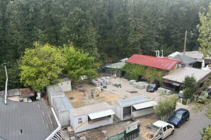 foto padurea baneasa va fi in curand plina de betoane nu de copaci chiar acum apar dughene terasele se extind si masinile distrug linistea din zona 68c17d6d0ae85