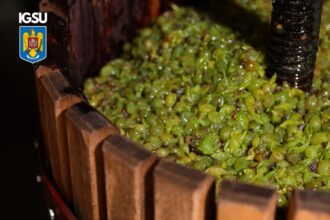 igsu avertizeaza pericolul dioxidului de carbon din timpul fermentarii mustului 68cd915decc17