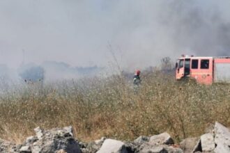 igsu cate incendii de vegetatie au fost stinse in aceasta vara 68d2764bd1052