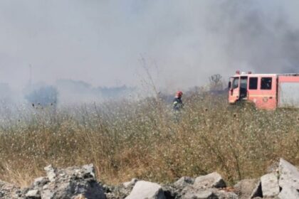 igsu cate incendii de vegetatie au fost stinse in aceasta vara 68d2764bd1052