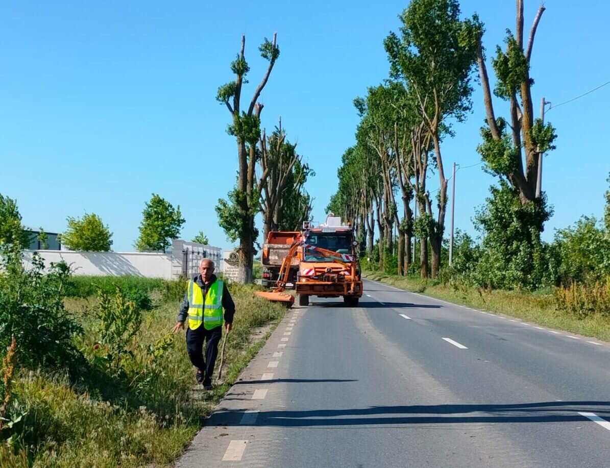 ilfov actiuni sustinute de cosire si erbicidare a ambroziei derulate din mai pana in prezent 68b6d263a3434