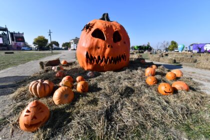 marile atractii de la west side hallo fest 20 000 de dovleci invazie de zombi un autobuz bantuit un cimitir haios 68d515ace13b6