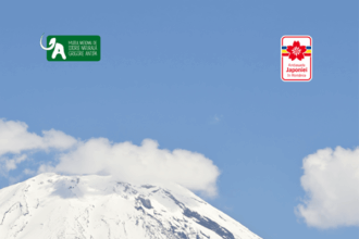 noua expozitie la muzeul antipa japonia file din natura realizata in colaborare cu ambasada japoniei in romania 68c159ae5a97e