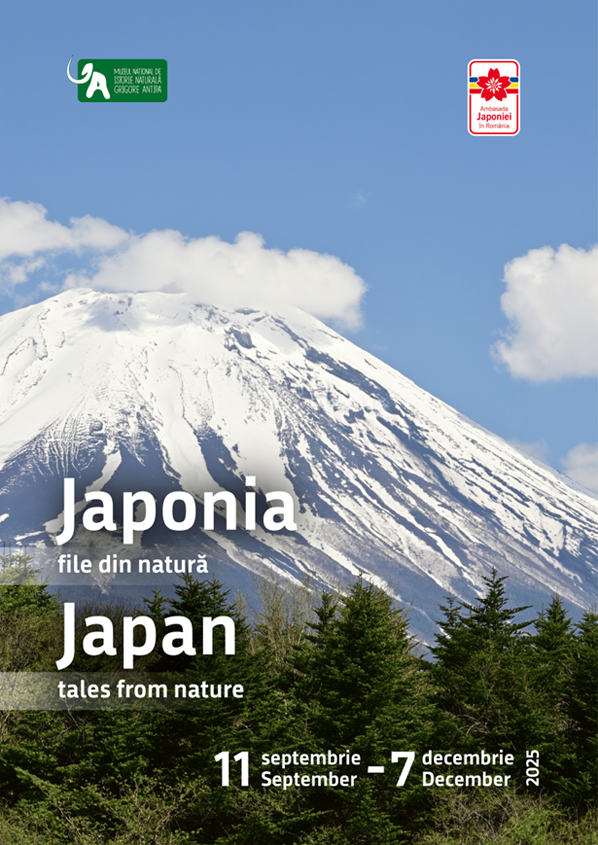 noua expozitie la muzeul antipa japonia file din natura realizata in colaborare cu ambasada japoniei in romania 68c159ae5a97e
