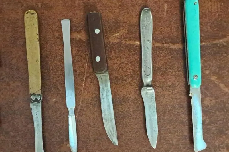 o femeie a incercat sa intre cu sase cutite in parlament urma sa participe la un forum economic si era pe o lista aur 68c3de23a9610 2