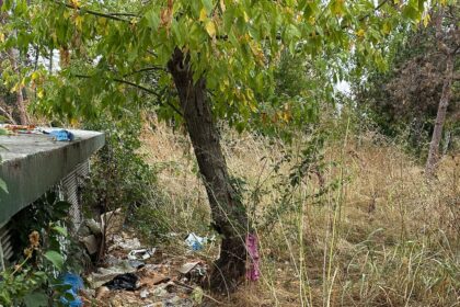 o tona de gunoi stransa in doar 3 ore din parcul grozavesti 68c66182d36b4