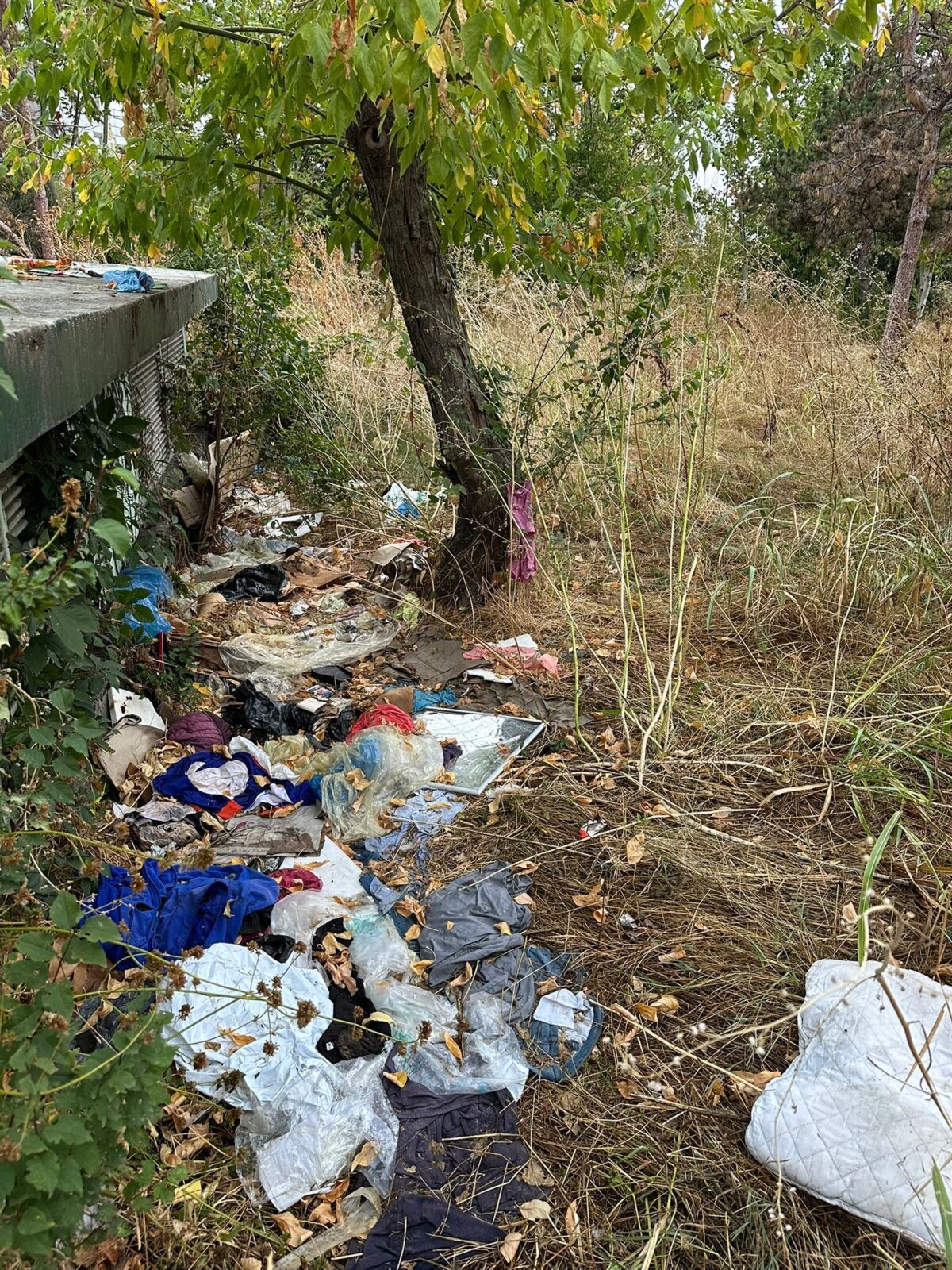 o tona de gunoi stransa in doar 3 ore din parcul grozavesti 68c66182d36b4