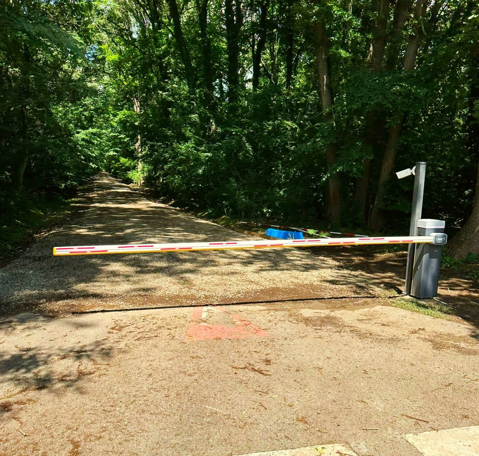 padurea baneasa tot mai aproape sa devina arie naturala protejata oamenii din greenfield ar trebui sa aiba acces in bucuresti dar nu prin padure spune ministra mediului 68bc0e630b2a5