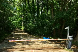 padurea baneasa tot mai aproape sa devina arie naturala protejata oamenii din greenfield ar trebui sa aiba acces in bucuresti dar nu prin padure spune ministra mediului 68bc0e630b2a5