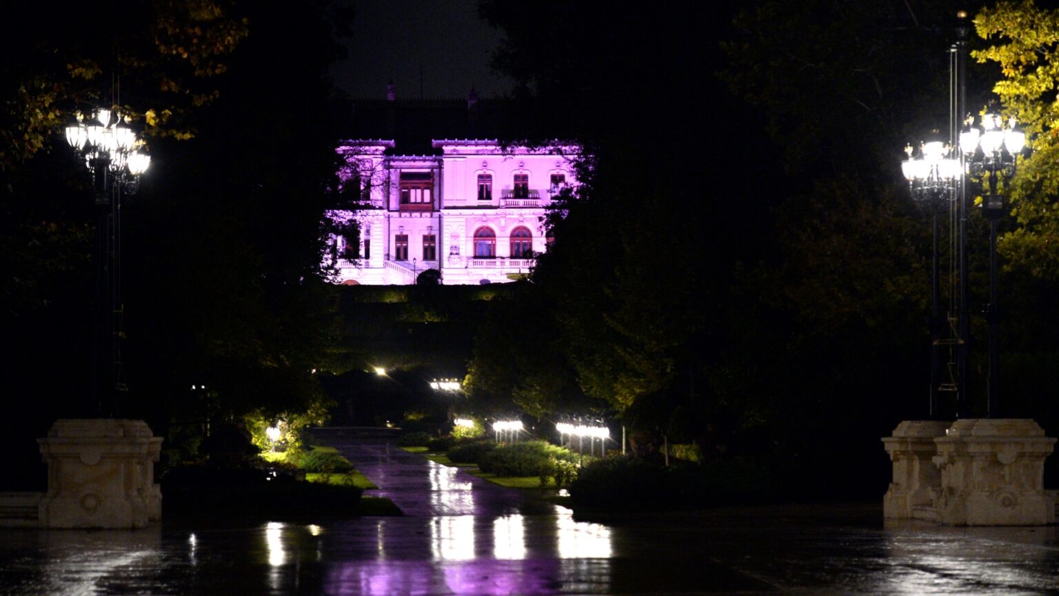 palatul cotroceni devine roz pe 1 octombrie de ziua nationala a luptei impotriva cancerului de san alte 5 cladiri din bucuresti vor mai fi colorate astfel 68d9041eb2e29