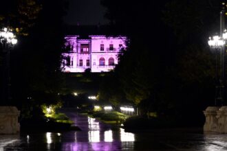 palatul cotroceni devine roz pe 1 octombrie de ziua nationala a luptei impotriva cancerului de san alte 5 cladiri din bucuresti vor mai fi colorate astfel 68d9041eb2e29