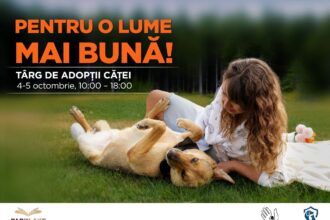 pentru o lume mai buna targ de adoptii in park lake de ziua mondiala a animalelor 68d15dfbf3284