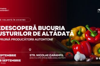 piata volanta in cartierul aviatiei in weekendul 26 28 septembrie 2025 68d51478134cd