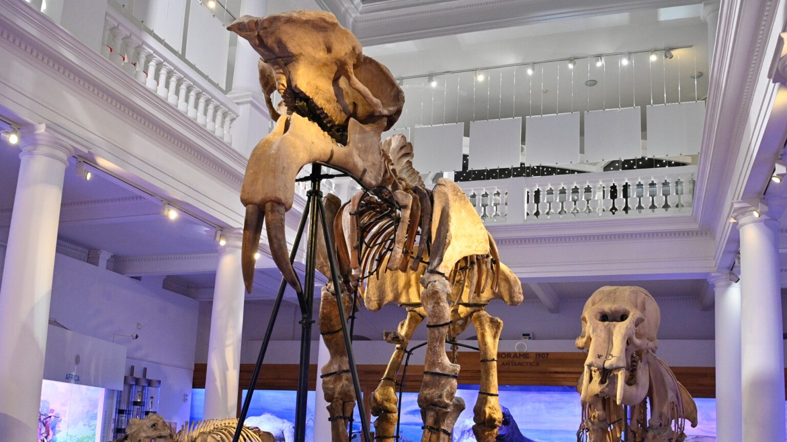 prima harta dedicata muzeelor si caselor memoriale din bucuresti f09f97baefb88f cuprinde peste 60 de institutii culturale si are informatii despre program si adrese 68d696cd200ea