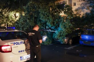 primaria dl negoita o ia inaintea tuturor si vrea sa cumpere body camere pentru politistii locali un proiect care prevede asemenea dotare abia a fost depus la senat 68ca890614af1