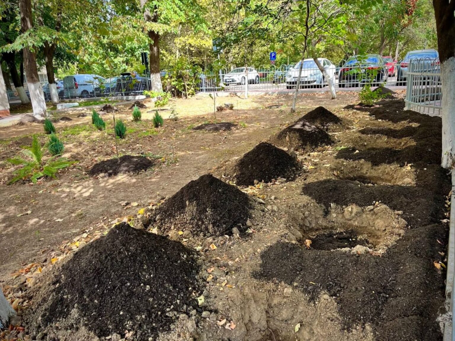 primaria sectorului 3 pune la dispozitia asociatiilor de proprietari compost 68d2610fda76a 2