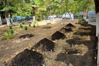 primaria sectorului 3 pune la dispozitia asociatiilor de proprietari compost 68d2610fda76a 2