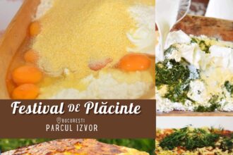 record culinar la festivalul placintelor alivanca moldoveneasca uriasa de 20 de metri in parcul izvor 68cd20d8132f2