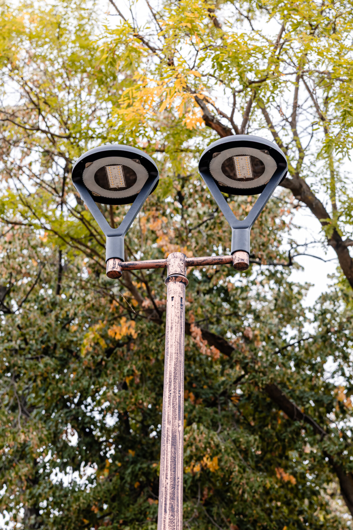 se modernizeaza iluminatul public din parcul herastrau regele mihai 68c25f08b49e7