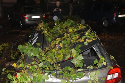 sector 2 despagubiri pentru masinile avariate de copaci sau blocuri de gheata proiect al primariei 68c01646aea04