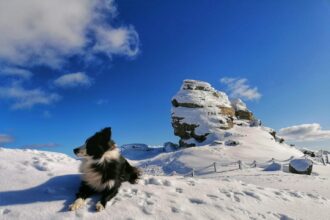 seful salvamont sibiu sapte recomandari pentru turistii care merg pe munte dupa prima ninsoare 68dbbd830aa88