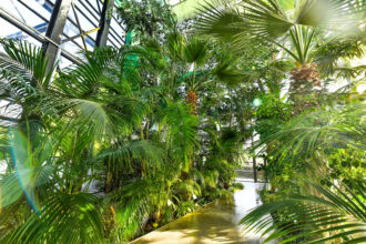 serele exotice din parcul drumul taberei trec la programul de iarna accesul ramane gratuit iar vizitatorii vor fi preluati la fiecare 20 de minute 68dbe1f59bace 1