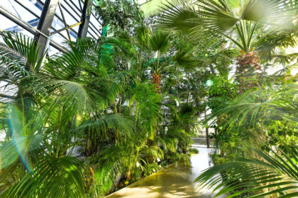 serele exotice din parcul drumul taberei trec la programul de iarna accesul ramane gratuit iar vizitatorii vor fi preluati la fiecare 20 de minute 68dbe1f59bace 1