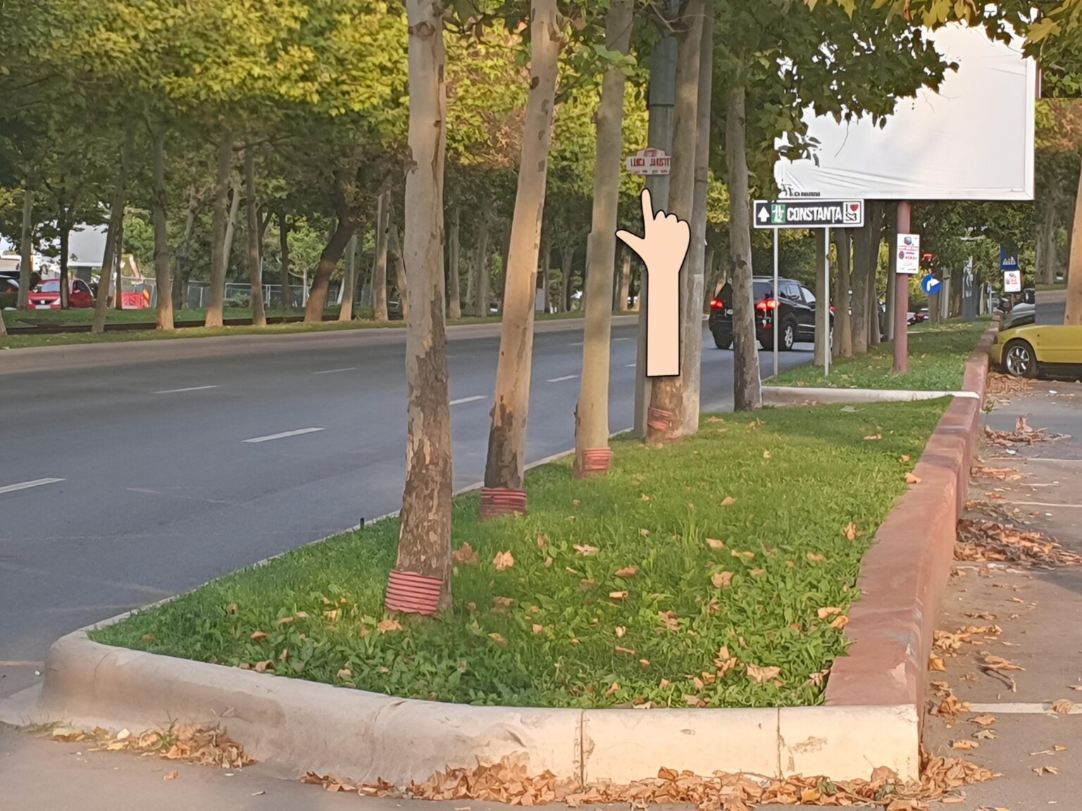 statia stb pericol e pe bd pallady calatorii asteapta pe iarba intre copaci autobuzele care inlocuiesc tramvaiele 19 si 27 scoase de pe traseu pentru refacerea sinelor 68beb03585a2a