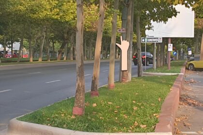 statia stb pericol e pe bd pallady calatorii asteapta pe iarba intre copaci autobuzele care inlocuiesc tramvaiele 19 si 27 scoase de pe traseu pentru refacerea sinelor 68beb03585a2a