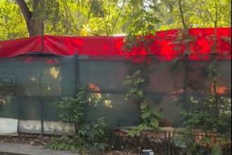 strandul titan solicitat in administrarea primariei sectorului 3 pentru reabilitare 68b55d65abc38