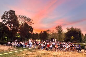 ultima saptamana de cinema in aer liber ecranul urias din parcul titan se aprinde la ora 20 00 68c251350b84b